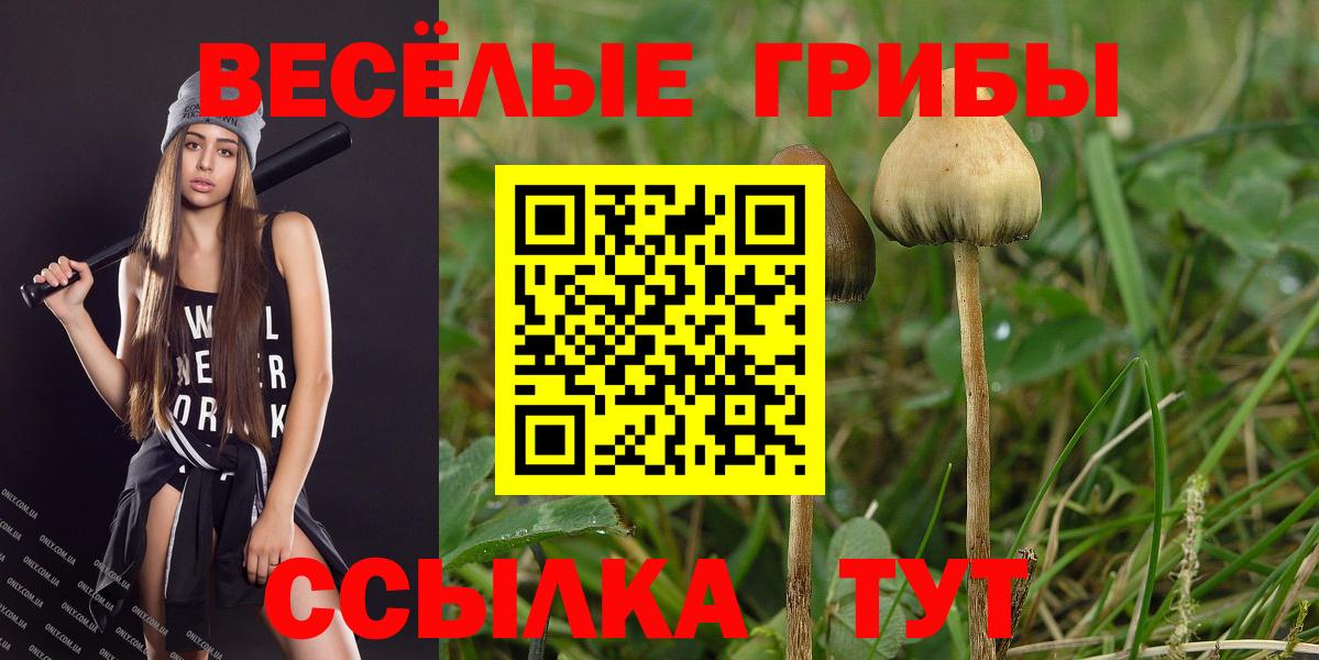 Коломна  Галлюциногенные грибы Cubensis  Галлюциногенные грибы Cubensis  Вход с VPN 